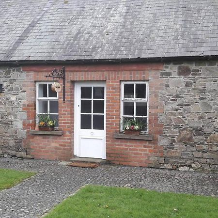 Mogue'S Cottage At Wells House & Gardens Wexford Eksteriør billede
